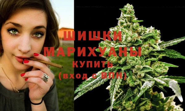 мяу мяу мука Бородино