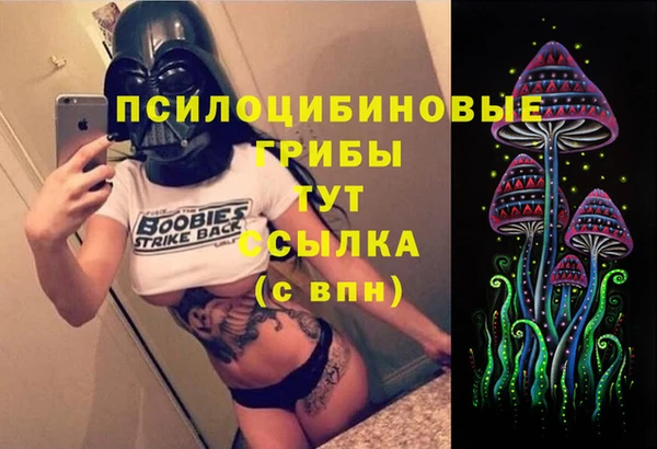 мяу мяу мука Бородино
