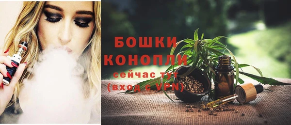 мяу мяу мука Бородино